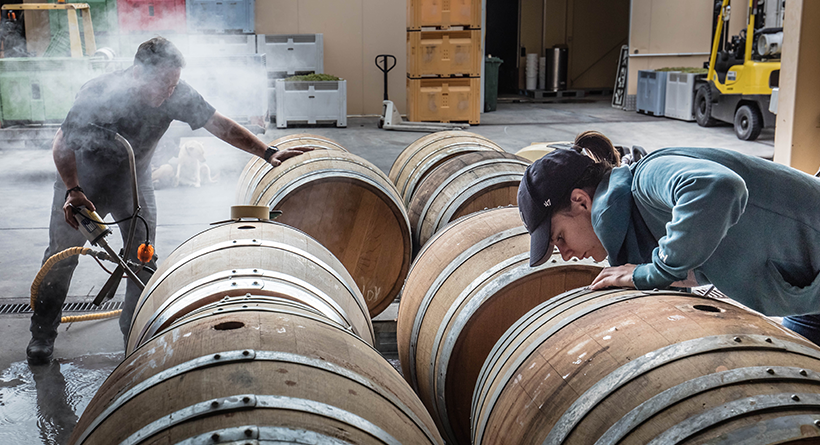 Sutton Grange winemakers and barrels